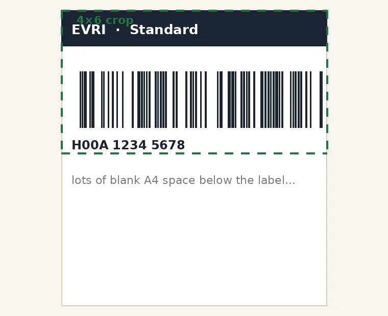 Shipping label on an A4 PDF with a green 4x6 crop box drawn around the label, ready to trim the blank space